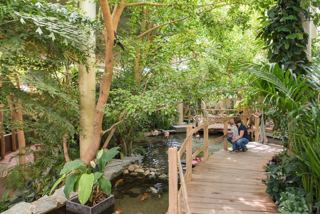 Center Parcs Port Zelande Beach Ouddorp Exterior photo