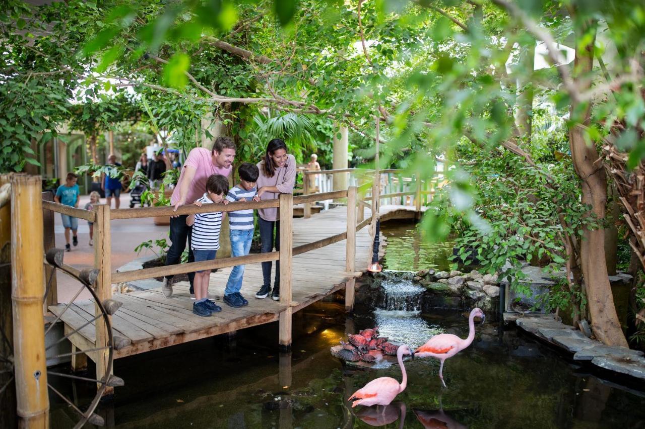 Center Parcs Port Zelande Beach Ouddorp Exterior photo